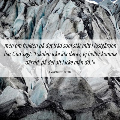 Picture 06 - 1 Mosebok 3:3 SV1917 - men om frukten på det träd som står mitt i - Bible Verse Picture