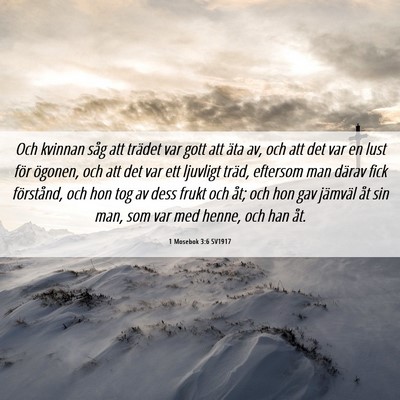 Picture 06 - 1 Mosebok 3:6 SV1917 - Och kvinnan såg att trädet var gott att äta - Bible Verse Picture