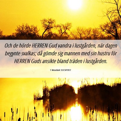 Picture 06 - 1 Mosebok 3:8 SV1917 - Och de hörde HERREN Gud vandra i lustgården, - Bible Verse Picture