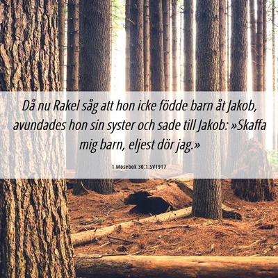 Picture 06 - 1 Mosebok 30:1 SV1917 - Då nu Rakel såg att hon icke födde barn åt - Bible Verse Picture