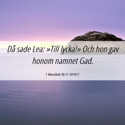 Picture 06 - 1 Mosebok 30:11 SV1917 - Då sade Lea: »Till lycka!» Och hon gav honom - Bible Verse Picture