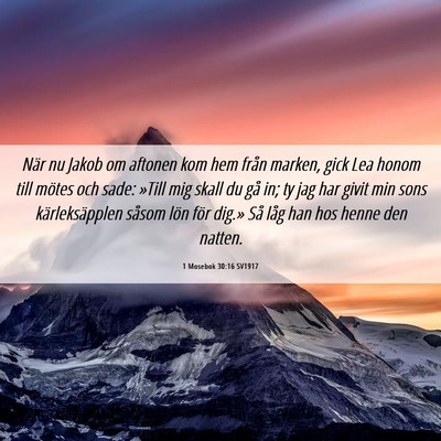 Picture 06 - 1 Mosebok 30:16 SV1917 - När nu Jakob om aftonen kom hem från marken, - Bible Verse Picture