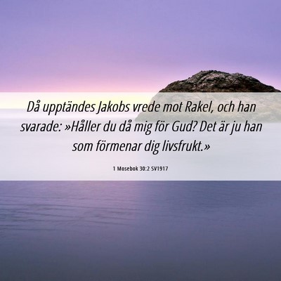 Picture 06 - 1 Mosebok 30:2 SV1917 - Då upptändes Jakobs vrede mot Rakel, och han - Bible Verse Picture