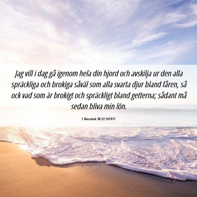 Picture 06 - 1 Mosebok 30:32 SV1917 - Jag vill i dag gå igenom hela din hjord och - Bible Verse Picture
