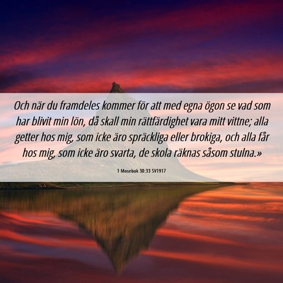 Picture 06 - 1 Mosebok 30:33 SV1917 - Och när du framdeles kommer för att med egna - Bible Verse Picture