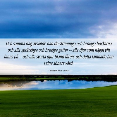Picture 06 - 1 Mosebok 30:35 SV1917 - Och samma dag avskilde han de strimmiga och - Bible Verse Picture
