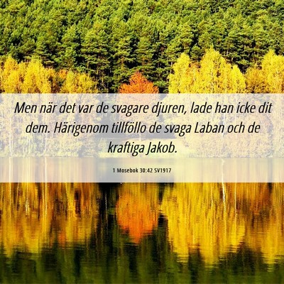 Picture 06 - 1 Mosebok 30:42 SV1917 - Men när det var de svagare djuren, lade han icke - Bible Verse Picture