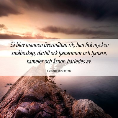 Picture 06 - 1 Mosebok 30:43 SV1917 - Så blev mannen övermåttan rik; han fick mycken - Bible Verse Picture