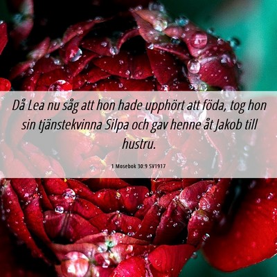 Picture 06 - 1 Mosebok 30:9 SV1917 - Då Lea nu såg att hon hade upphört att föda, - Bible Verse Picture