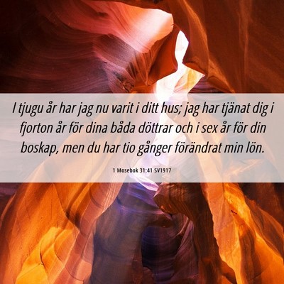 Picture 06 - 1 Mosebok 31:41 SV1917 - I tjugu år har jag nu varit i ditt hus; jag har - Bible Verse Picture