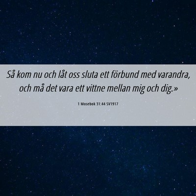Picture 06 - 1 Mosebok 31:44 SV1917 - Så kom nu och låt oss sluta ett förbund med - Bible Verse Picture
