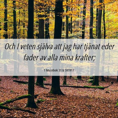 Picture 06 - 1 Mosebok 31:6 SV1917 - Och I veten själva att jag har tjänat eder - Bible Verse Picture