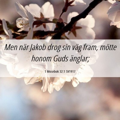 Picture 06 - 1 Mosebok 32:1 SV1917 - Men när Jakob drog sin väg fram, mötte honom - Bible Verse Picture