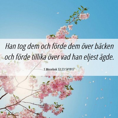 Picture 06 - 1 Mosebok 32:23 SV1917 - Han tog dem och förde dem över bäcken och - Bible Verse Picture