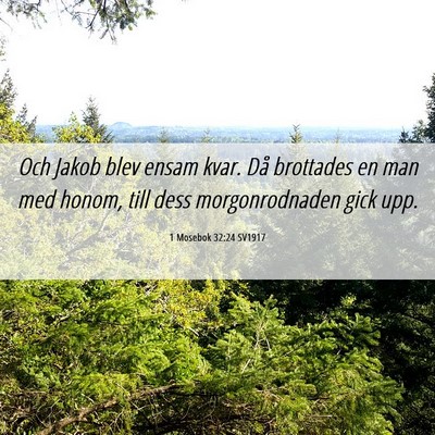 Picture 06 - 1 Mosebok 32:24 SV1917 - Och Jakob blev ensam kvar. Då brottades en man - Bible Verse Picture