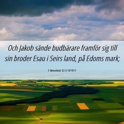 Picture 06 - 1 Mosebok 32:3 SV1917 - Och Jakob sände budbärare framför sig till sin - Bible Verse Picture