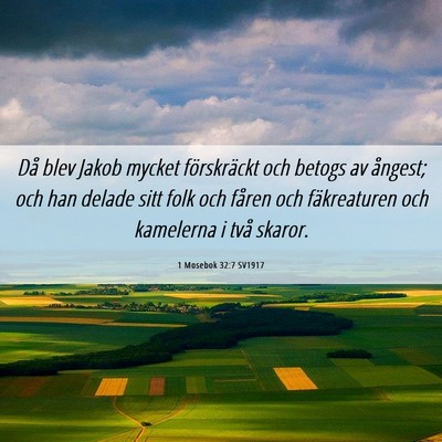 Picture 06 - 1 Mosebok 32:7 SV1917 - Då blev Jakob mycket förskräckt och betogs av - Bible Verse Picture