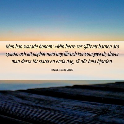 Picture 06 - 1 Mosebok 33:13 SV1917 - Men han svarade honom: »Min herre ser själv att - Bible Verse Picture