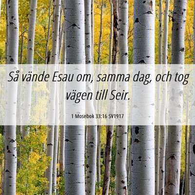 Picture 06 - 1 Mosebok 33:16 SV1917 - Så vände Esau om, samma dag, och tog vägen - Bible Verse Picture