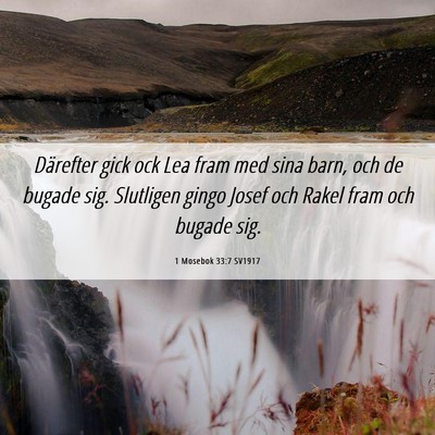 Picture 06 - 1 Mosebok 33:7 SV1917 - Därefter gick ock Lea fram med sina barn, och de - Bible Verse Picture