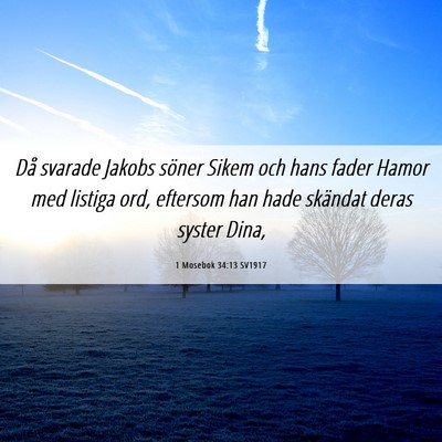 Picture 06 - 1 Mosebok 34:13 SV1917 - Då svarade Jakobs söner Sikem och hans fader - Bible Verse Picture