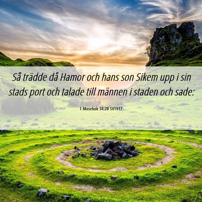 Picture 06 - 1 Mosebok 34:20 SV1917 - Så trädde då Hamor och hans son Sikem upp i - Bible Verse Picture