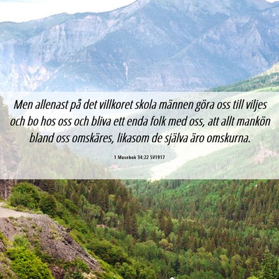 Picture 06 - 1 Mosebok 34:22 SV1917 - Men allenast på det villkoret skola männen - Bible Verse Picture