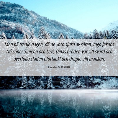 Picture 06 - 1 Mosebok 34:25 SV1917 - Men på tredje dagen, då de voro sjuka av - Bible Verse Picture