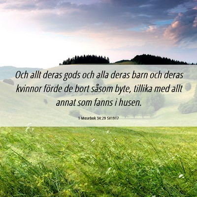 Picture 06 - 1 Mosebok 34:29 SV1917 - Och allt deras gods och alla deras barn och deras - Bible Verse Picture