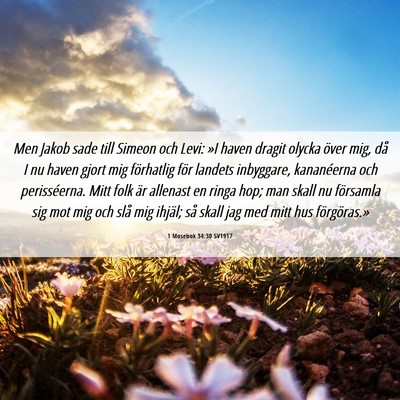 Picture 06 - 1 Mosebok 34:30 SV1917 - Men Jakob sade till Simeon och Levi: »I haven - Bible Verse Picture