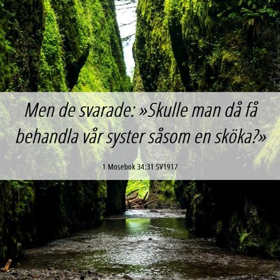 Picture 06 - 1 Mosebok 34:31 SV1917 - Men de svarade: »Skulle man då få behandla - Bible Verse Picture