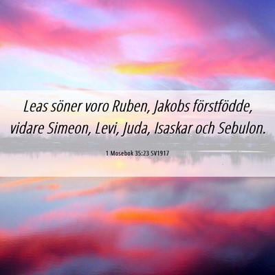 Picture 06 - 1 Mosebok 35:23 SV1917 - Leas söner voro Ruben, Jakobs förstfödde, - Bible Verse Picture