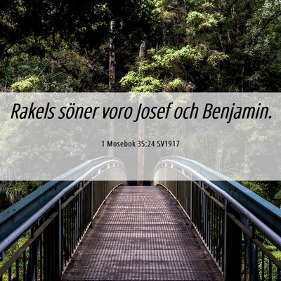 Picture 06 - 1 Mosebok 35:24 SV1917 - Rakels söner voro Josef och - Bible Verse Picture