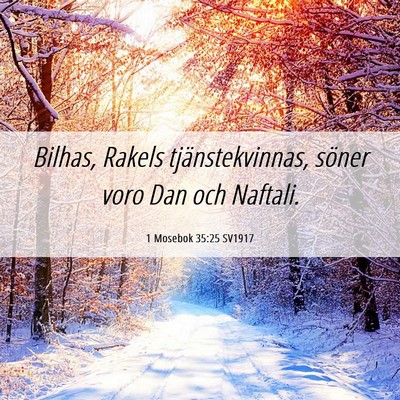 Picture 06 - 1 Mosebok 35:25 SV1917 - Bilhas, Rakels tjänstekvinnas, söner voro Dan - Bible Verse Picture