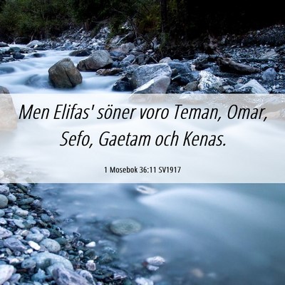 Picture 06 - 1 Mosebok 36:11 SV1917 - Men Elifas' söner voro Teman, Omar, Sefo, Gaetam - Bible Verse Picture