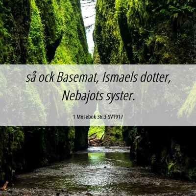 Picture 06 - 1 Mosebok 36:3 SV1917 - så ock Basemat, Ismaels dotter, Nebajots - Bible Verse Picture