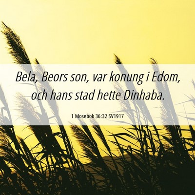 Picture 06 - 1 Mosebok 36:32 SV1917 - Bela, Beors son, var konung i Edom, och hans stad - Bible Verse Picture