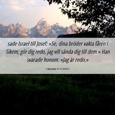 Picture 06 - 1 Mosebok 37:13 SV1917 - sade Israel till Josef: »Se, dina bröder vakta - Bible Verse Picture