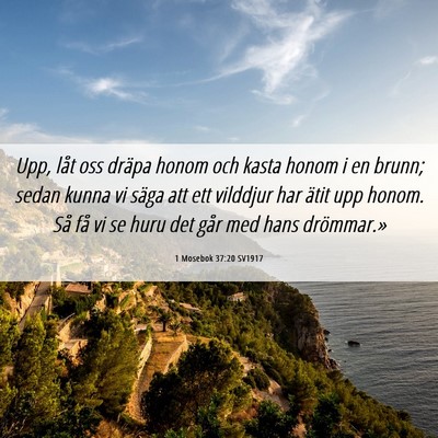 Picture 06 - 1 Mosebok 37:20 SV1917 - Upp, låt oss dräpa honom och kasta honom i en - Bible Verse Picture