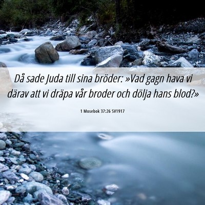 Picture 06 - 1 Mosebok 37:26 SV1917 - Då sade Juda till sina bröder: »Vad gagn hava - Bible Verse Picture