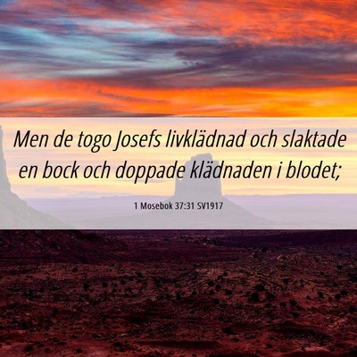 Picture 06 - 1 Mosebok 37:31 SV1917 - Men de togo Josefs livklädnad och slaktade en - Bible Verse Picture