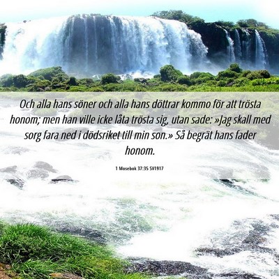 Picture 06 - 1 Mosebok 37:35 SV1917 - Och alla hans söner och alla hans döttrar kommo - Bible Verse Picture