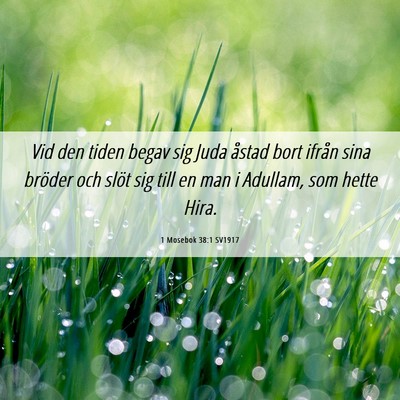 Picture 06 - 1 Mosebok 38:1 SV1917 - Vid den tiden begav sig Juda åstad bort ifrån - Bible Verse Picture
