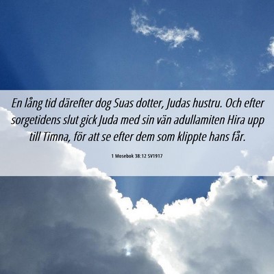 Picture 06 - 1 Mosebok 38:12 SV1917 - En lång tid därefter dog Suas dotter, Judas - Bible Verse Picture
