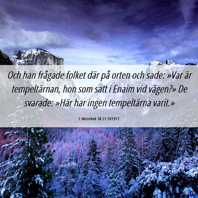 Picture 06 - 1 Mosebok 38:21 SV1917 - Och han frågade folket där på orten och sade: - Bible Verse Picture