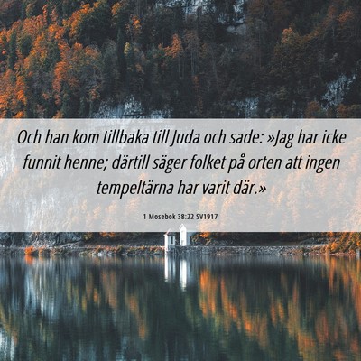 Picture 06 - 1 Mosebok 38:22 SV1917 - Och han kom tillbaka till Juda och sade: »Jag - Bible Verse Picture