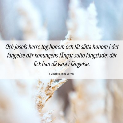 Picture 06 - 1 Mosebok 39:20 SV1917 - Och Josefs herre tog honom och lät sätta honom - Bible Verse Picture