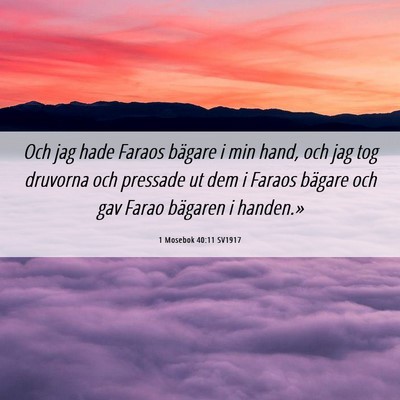 Picture 06 - 1 Mosebok 40:11 SV1917 - Och jag hade Faraos bägare i min hand, och jag - Bible Verse Picture