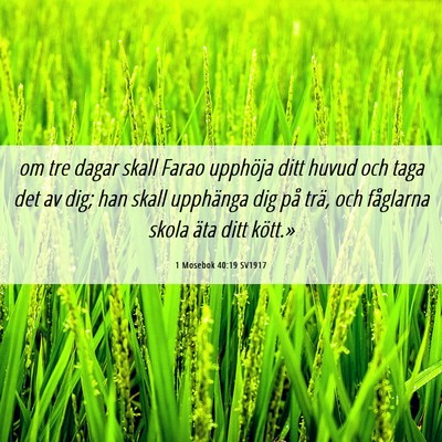 Picture 06 - 1 Mosebok 40:19 SV1917 - om tre dagar skall Farao upphöja ditt huvud och - Bible Verse Picture