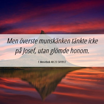 Picture 06 - 1 Mosebok 40:23 SV1917 - Men överste munskänken tänkte icke på Josef, - Bible Verse Picture